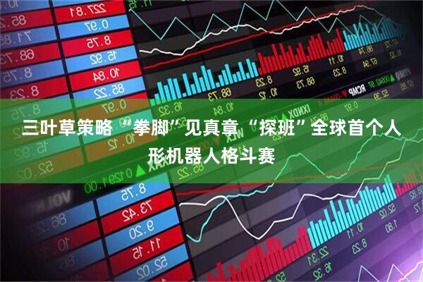三叶草策略 “拳脚”见真章 “探班”全球首个人形机器人格斗赛