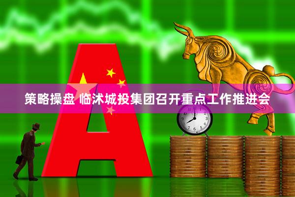 策略操盘 临沭城投集团召开重点工作推进会