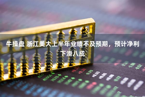 牛操盘 浙江美大上半年业绩不及预期，预计净利下滑八成