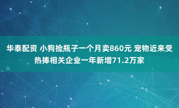 华泰配资 小狗捡瓶子一个月卖860元 宠物近来受热捧相关企业一年新增71.2万家