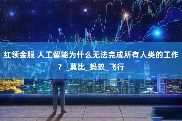 红领金服 人工智能为什么无法完成所有人类的工作？_莫比_蚂蚁_飞行