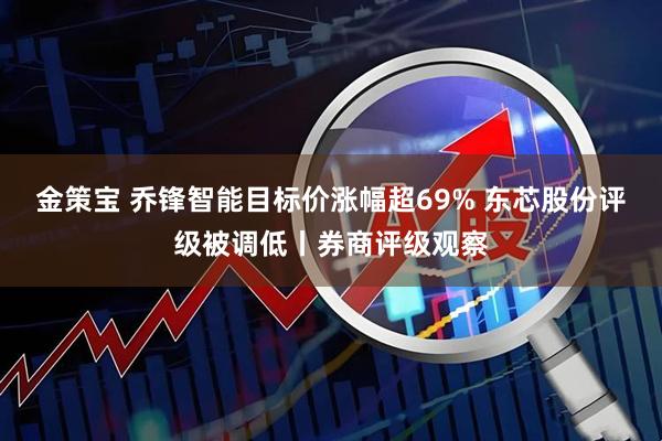 金策宝 乔锋智能目标价涨幅超69% 东芯股份评级被调低丨券商评级观察