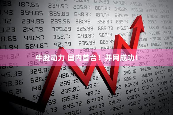 牛股动力 国内首台！并网成功！
