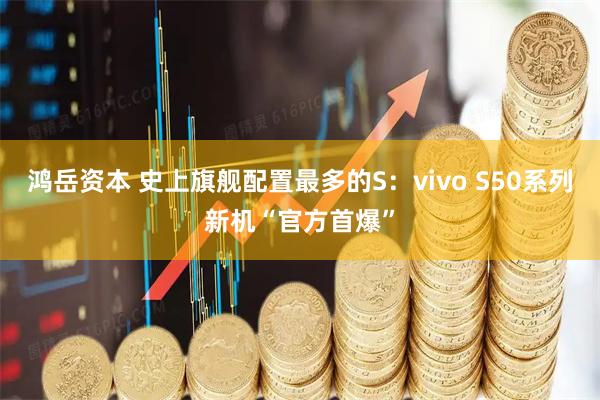 鸿岳资本 史上旗舰配置最多的S：vivo S50系列新机“官方首爆”