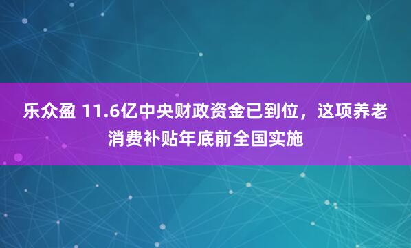 乐众盈 11.6亿中央财政资金已到位，这项养老消费补贴年底前全国实施