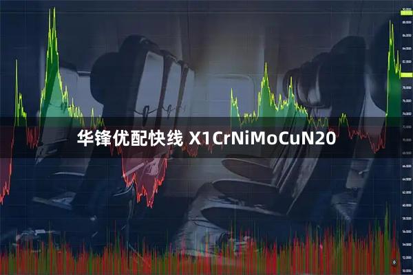 华锋优配快线 X1CrNiMoCuN20