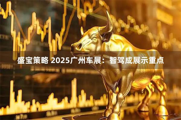 盛宝策略 2025广州车展：智驾成展示重点